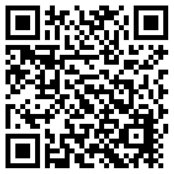 1Защитное ограждение дымовой трубы (Большое) H800хD310 мм. для дровяной печи DOMSAUN.RU