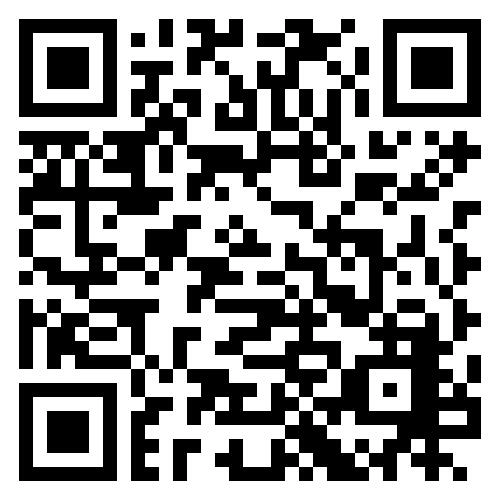 Тапки из войлока темные мужские DOMSAUN