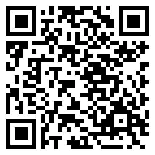 Тапочки для сауны, мужские Комбинированные ОБСИ