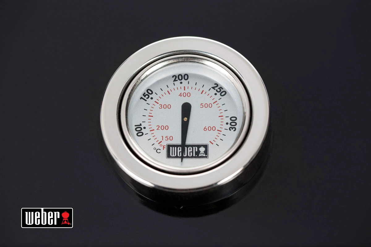 1Газовый гриль Spirit II E-310 GBS Weber